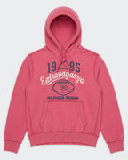 Hilfiger Denim Pink Hoodie - L