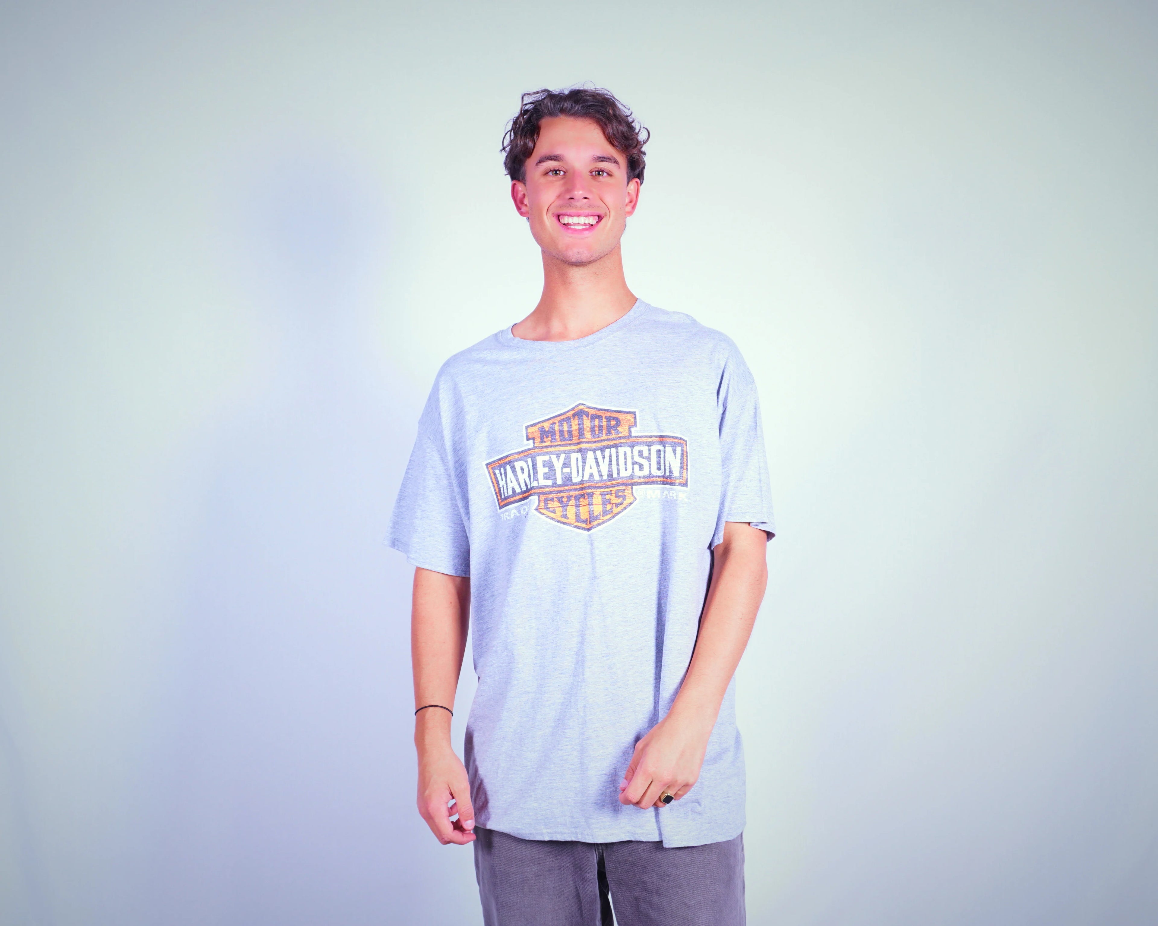 Harley-davidson Grey T-shirt XL