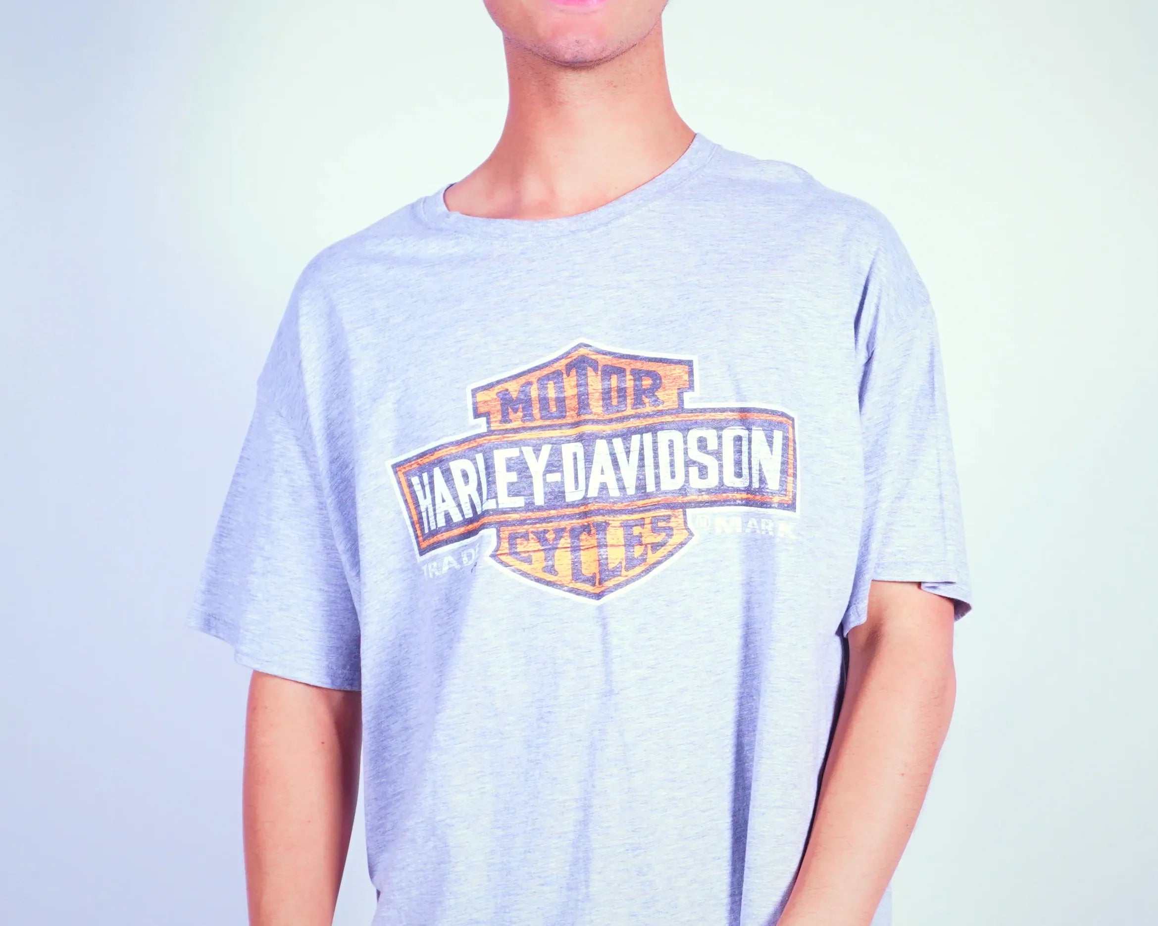 Harley-davidson Grey T-shirt XL