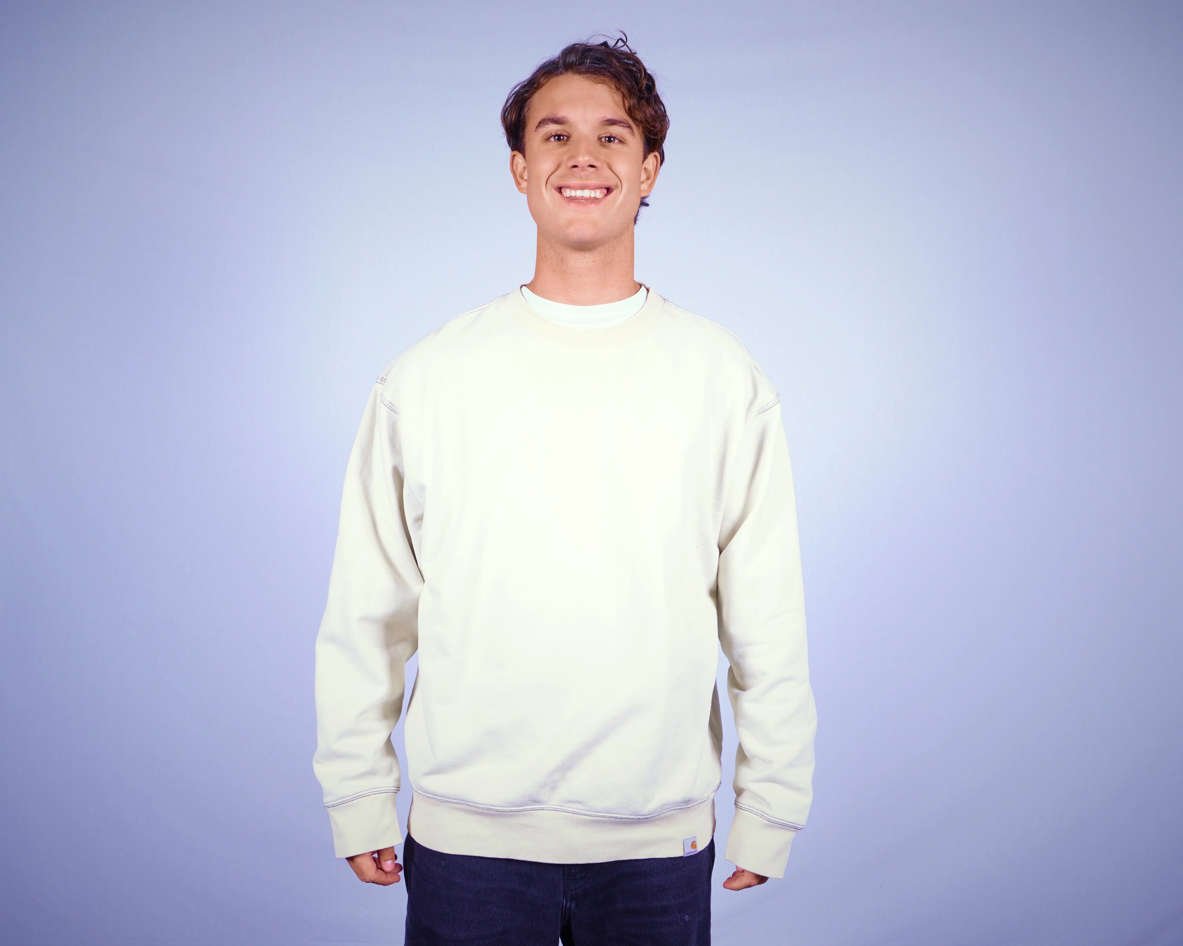 Carhartt Sweater (M)