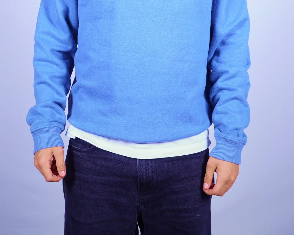 Lacoste Sweatshirt (M)