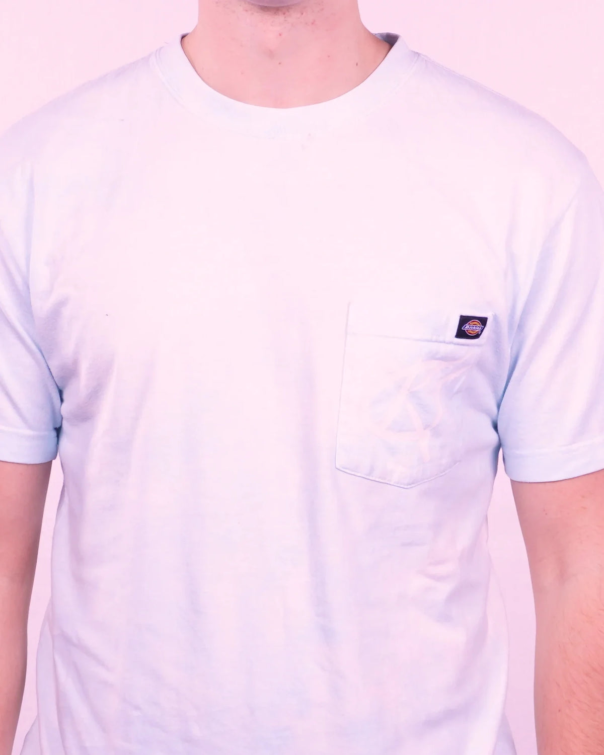 Dickies T-shirt (M)