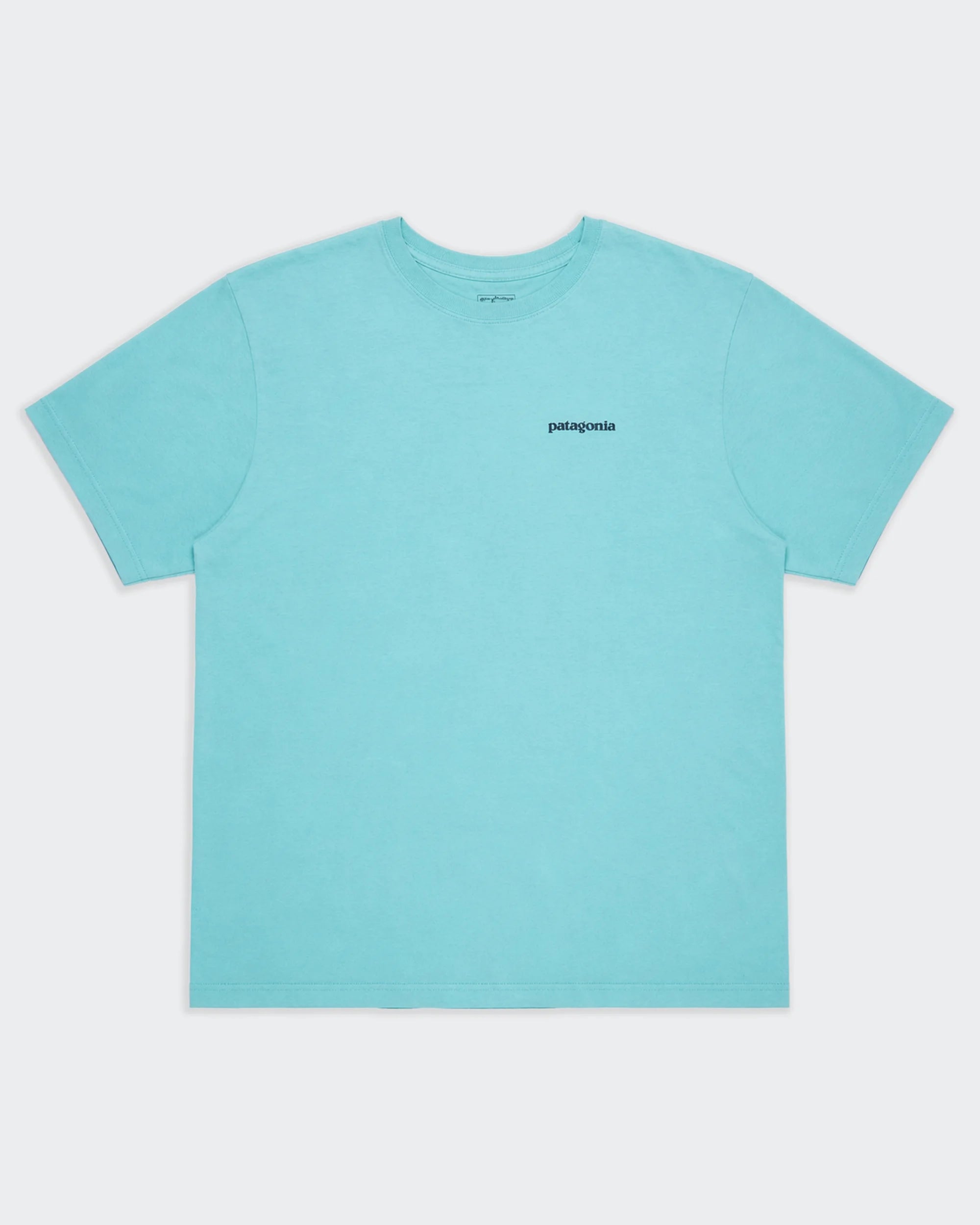 Patagonia Blue Graphic T-shirt - M